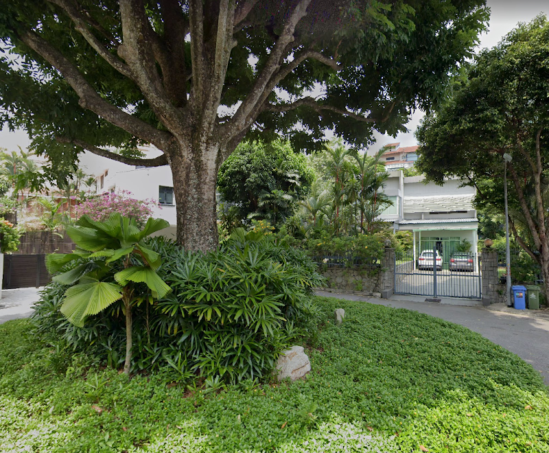 Photo 1 at Great Shelford Tree in Singapore