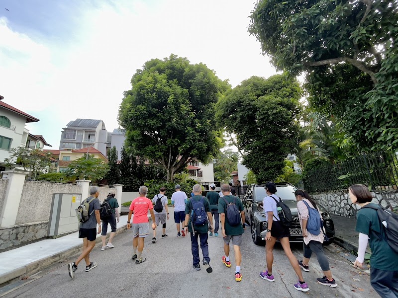 Photo 4 at Great Shelford Tree in Singapore