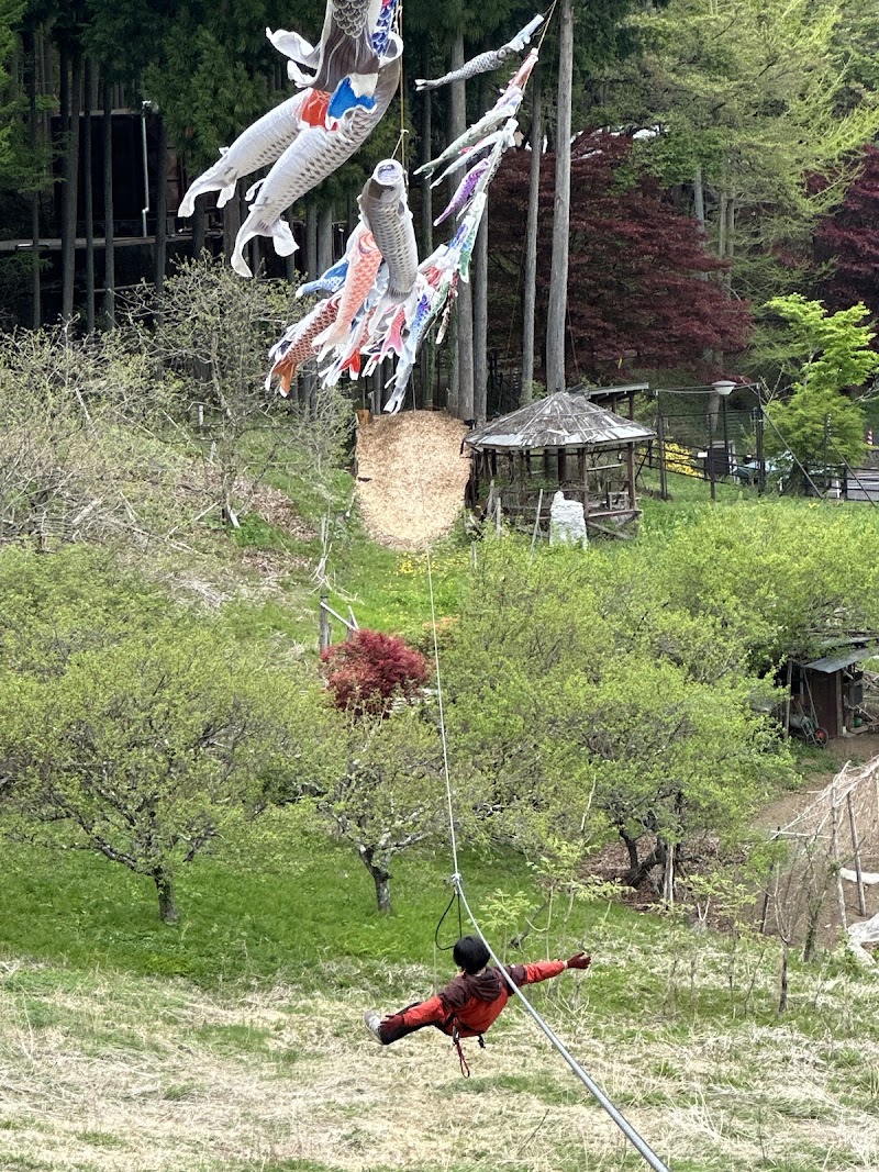 Photo 5 at Forest Adventure Kosuge/フォレストアドベンチャー・こすげ in Kosuge