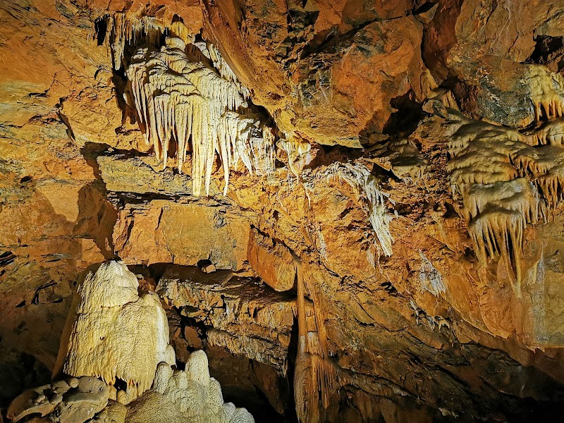 Photo 1 at Aggtelek National Park in 