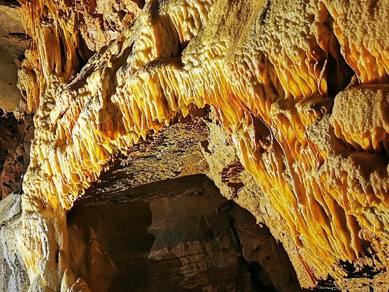 Photo 6 at Aggtelek National Park in 