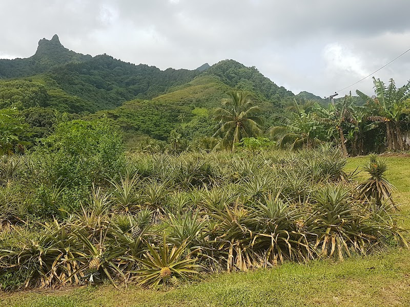 Photo 4 at Raro Safari Tours & Concierge Desk in Avarua
