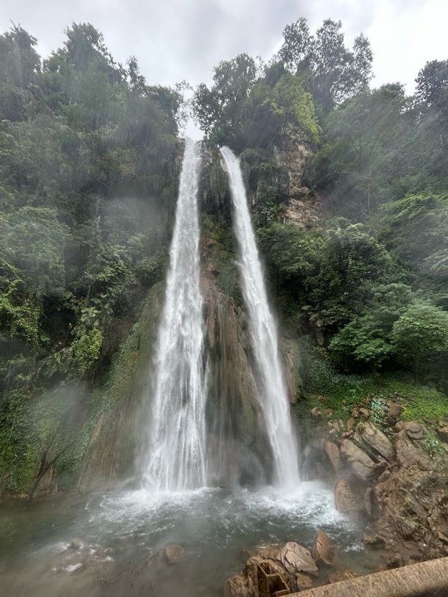 Photo 2 at Royal Manas National Park in Gonphu