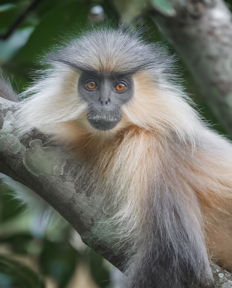 Photo 6 at Royal Manas National Park in Gonphu