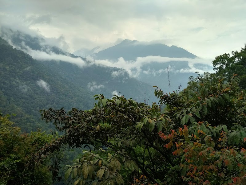 Photo 5 at Royal Manas National Park in Gonphu