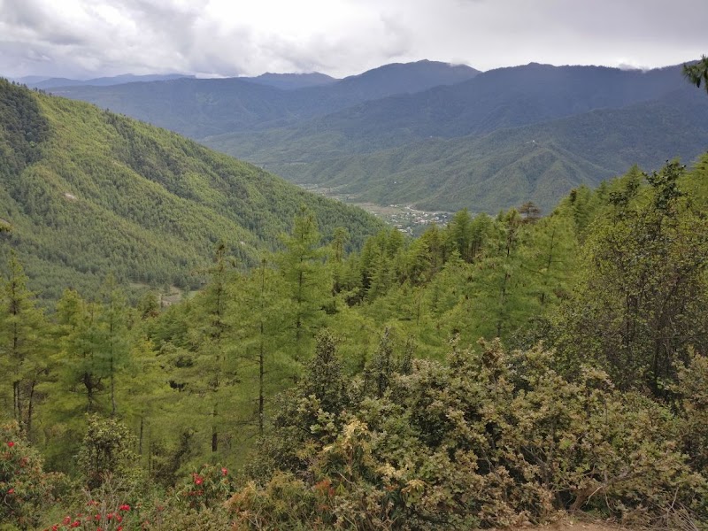 Photo 4 at Royal Manas National Park in Gonphu