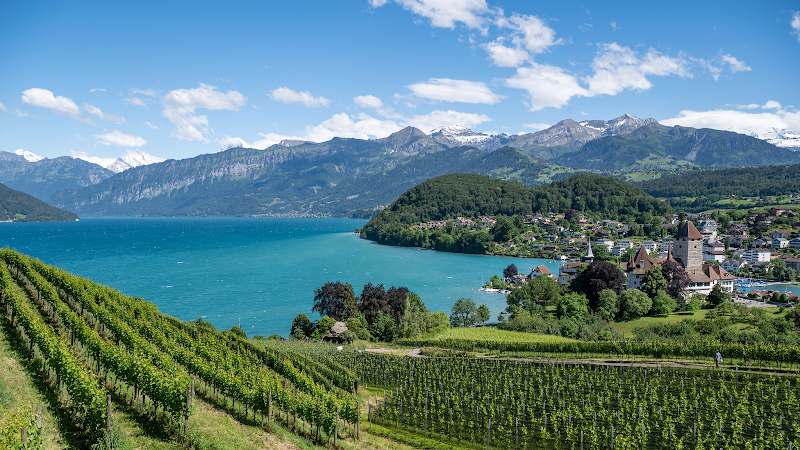 Schloss Spiez in Spiez