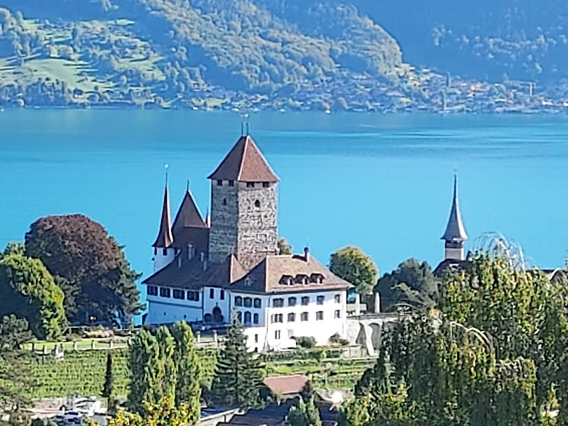 Photo 6 at Schloss Spiez in Spiez