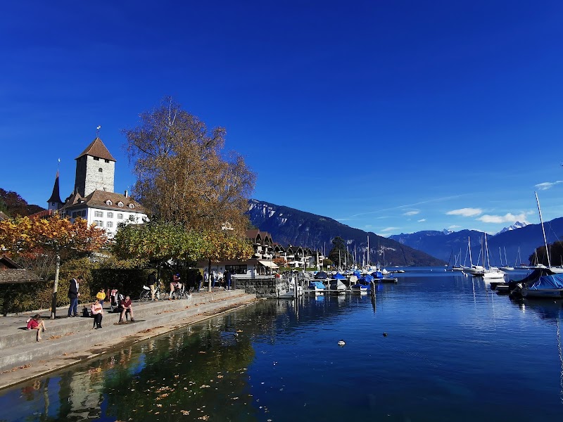 Photo 5 at Schloss Spiez in Spiez