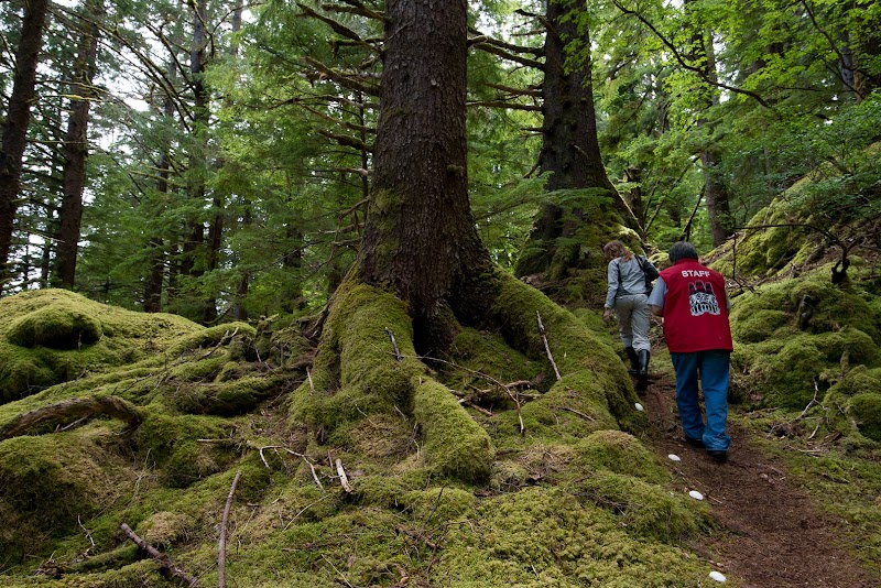 Gwaii Haanas National Park Reserve and Haida Heritage Site in Daajing Giids