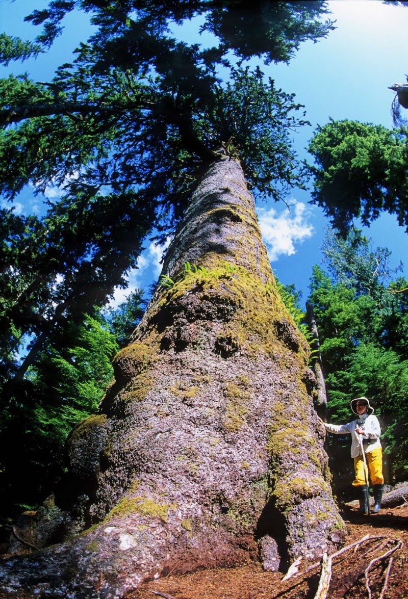 Photo 4 at Gwaii Haanas National Park Reserve and Haida Heritage Site in Daajing Giids