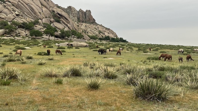 Photo 3 at Horseback Adventure in Улаанбаатар