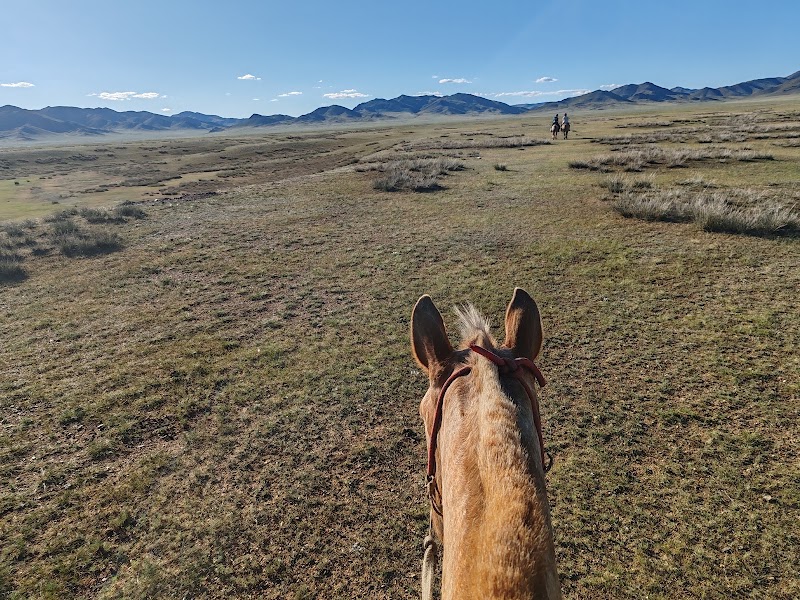 Horseback Adventure in Улаанбаатар