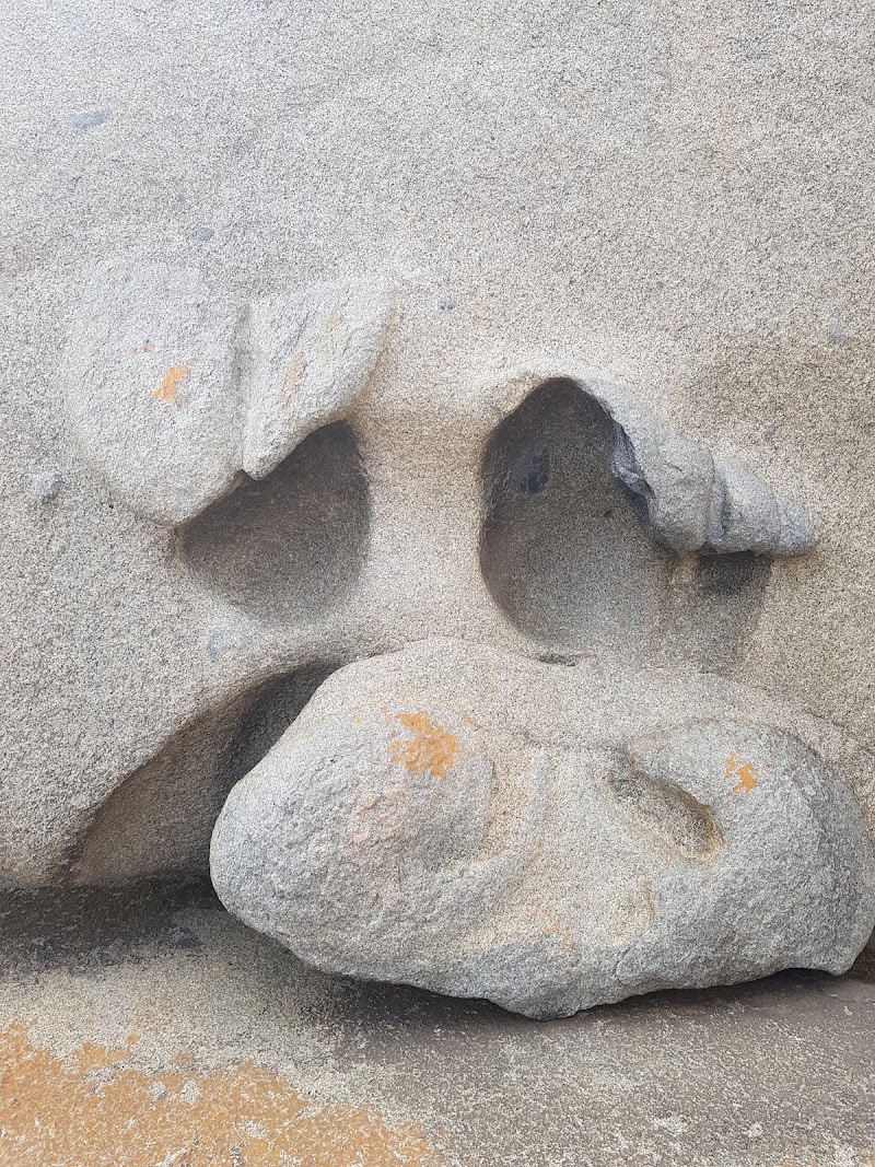 Photo 4 at Remarkable Rocks in Flinders Chase
