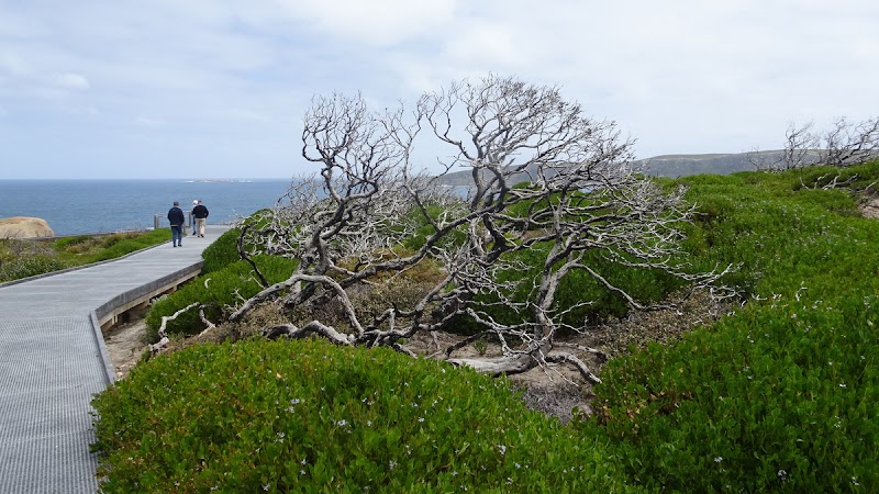 Photo 6 at Remarkable Rocks in Flinders Chase