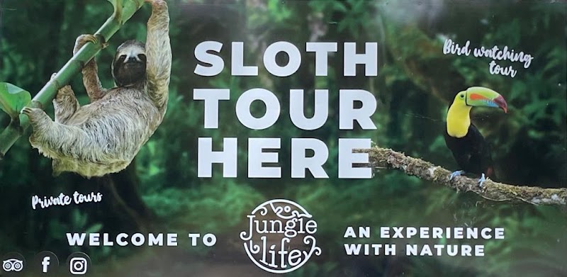 Jungle Life Costa Rica - Rainforest Tours in Bijagua de Upala