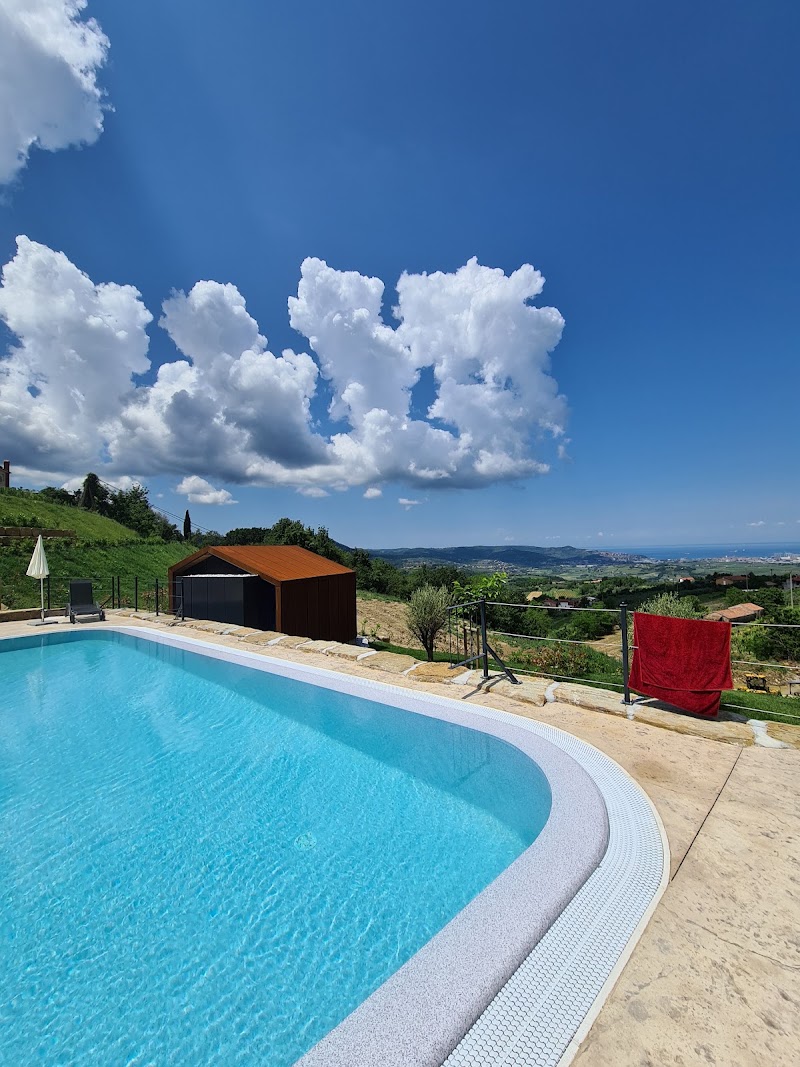 Photo 5 at Wine Paradise in Marezige