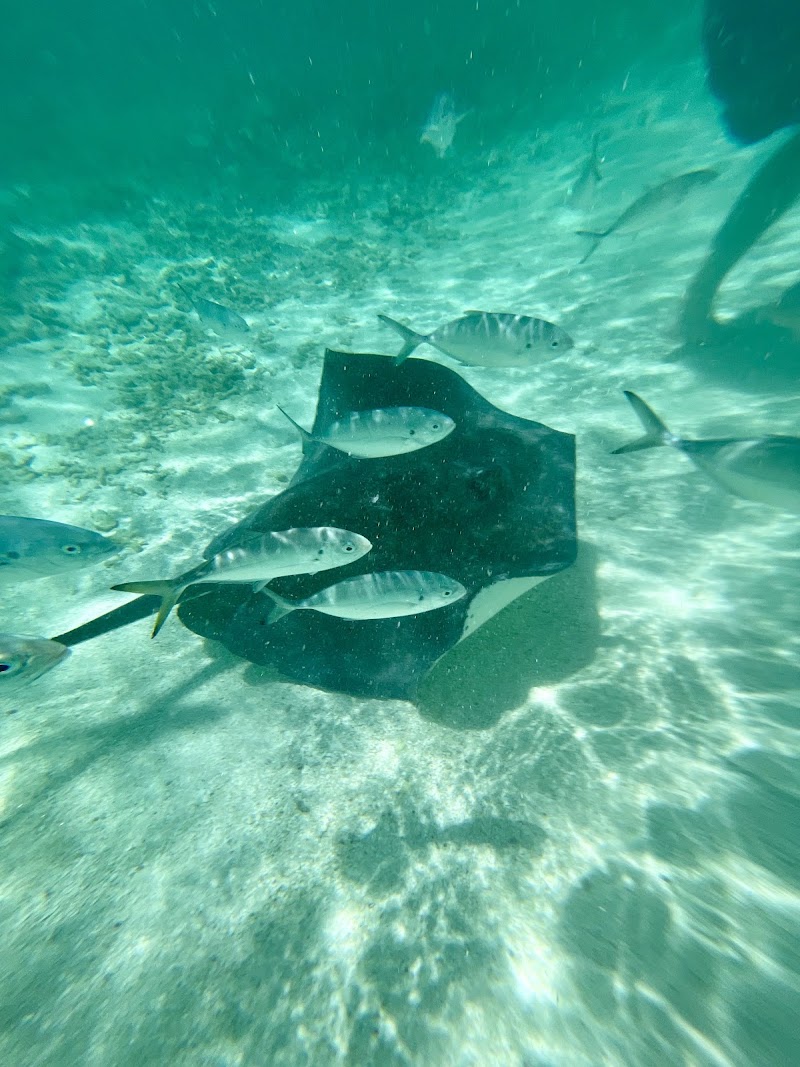 Photo 4 at Adventure Antigua - family run excursions and private boat charters since 1999 in 