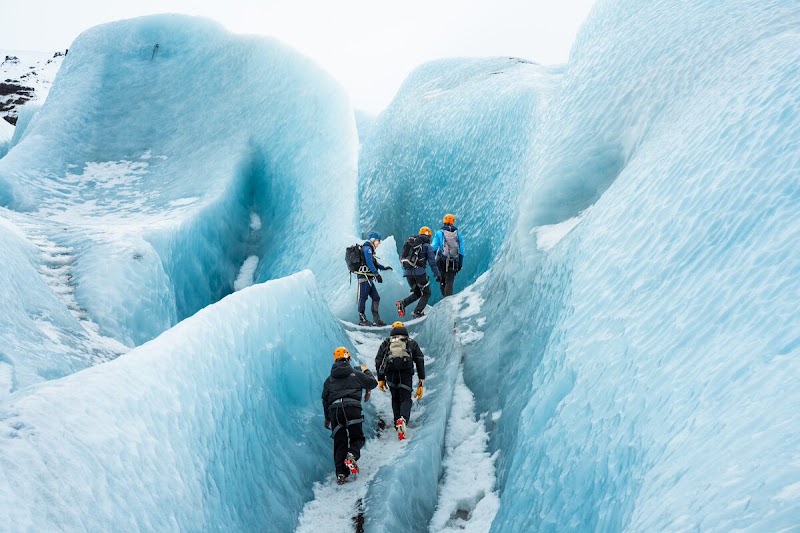 Arctic Adventures in Reykjavík