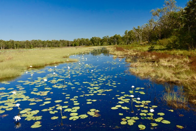 Photo 6 at Kakadu National Park in Jabiru