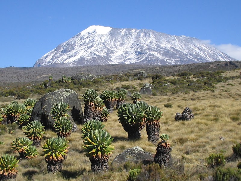 Photo 5 at Mount Kilimanjaro National Park in Gilman's Point