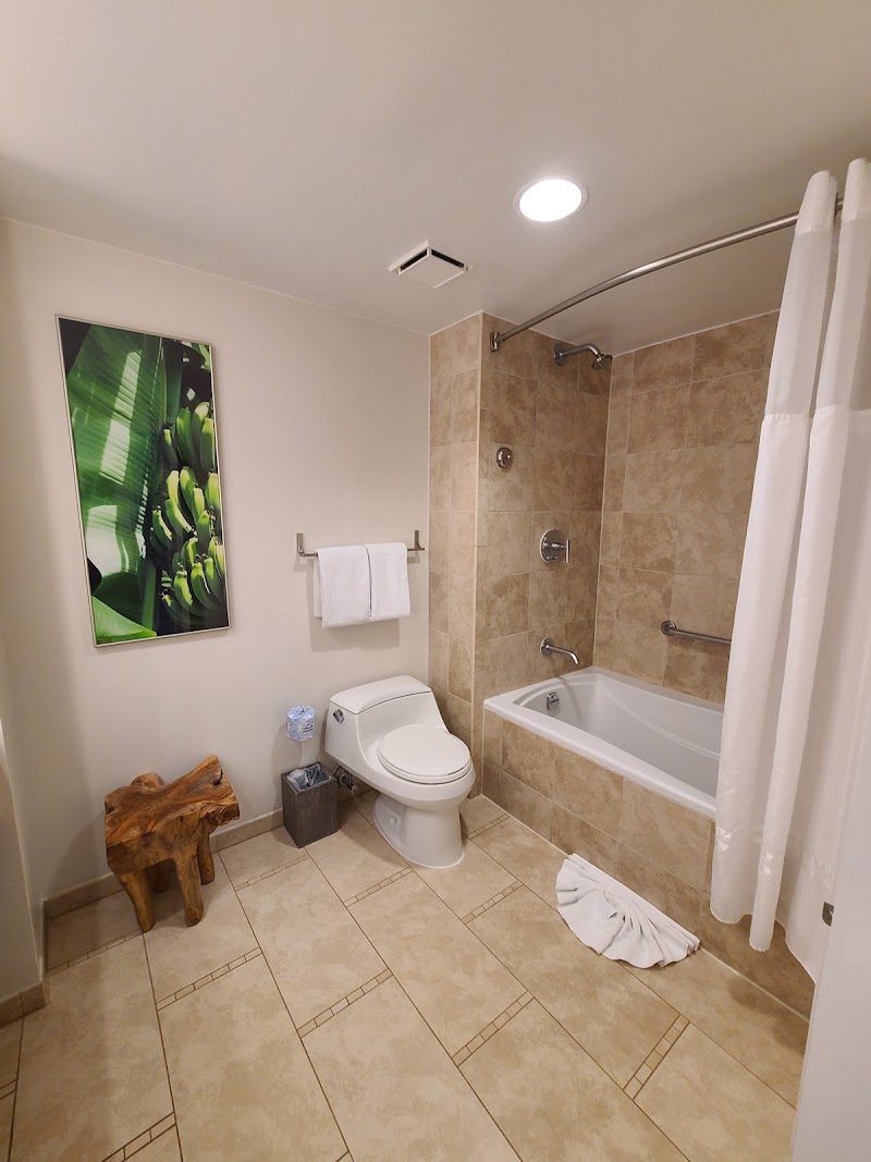 Photo 3 at Hyatt Regency Aruba Resort Spa and Casino in Noord