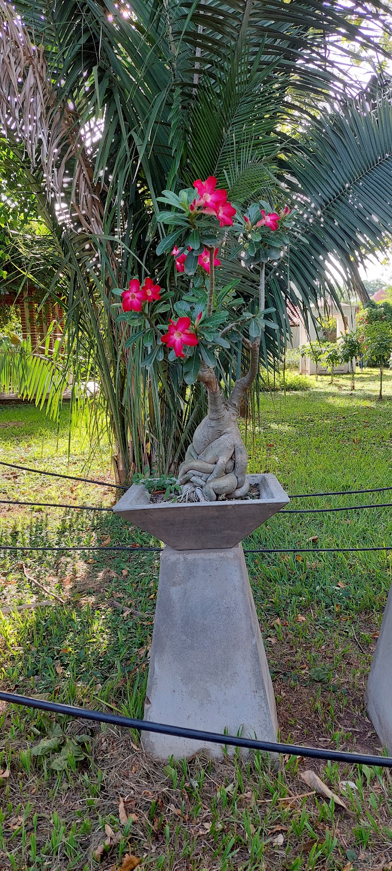 Photo 5 at Santa Cruz de la Sierra Botanical Garden in Santa Cruz de la Sierra