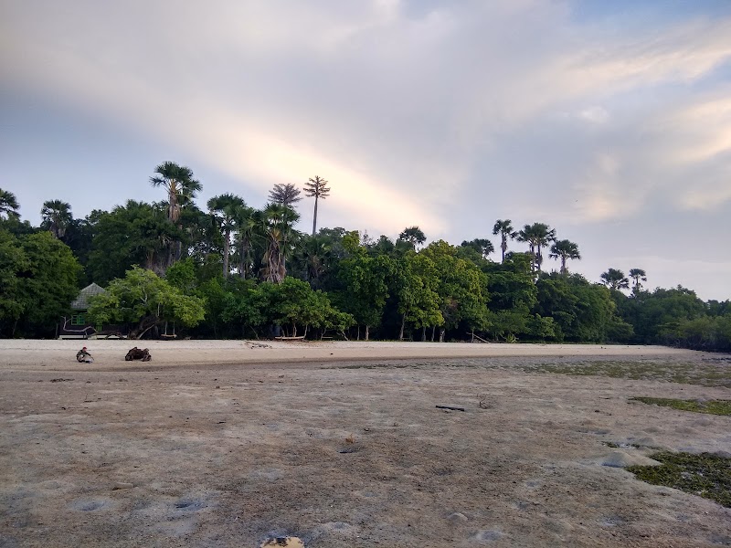 Photo 6 at Baluran National Park in Kecamatan Banyuputih