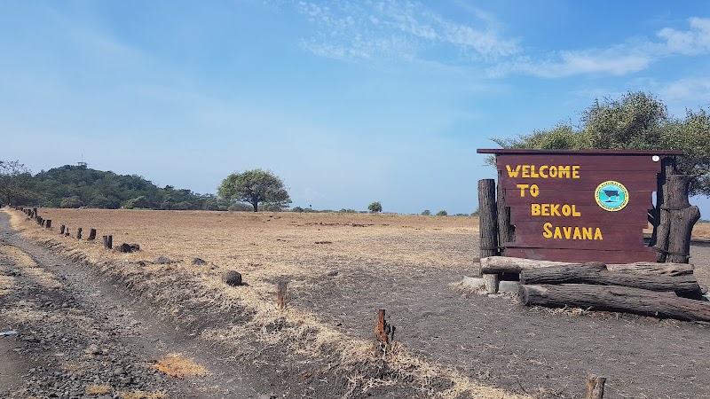 Photo 4 at Baluran National Park in Kecamatan Banyuputih