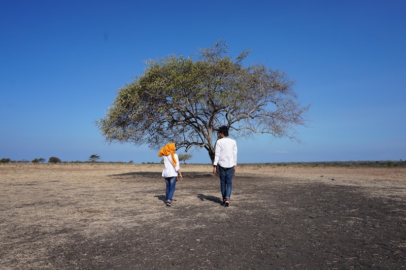 Photo 3 at Baluran National Park in Kecamatan Banyuputih