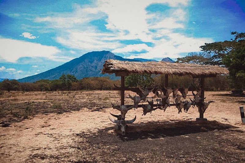 Baluran National Park in Kecamatan Banyuputih
