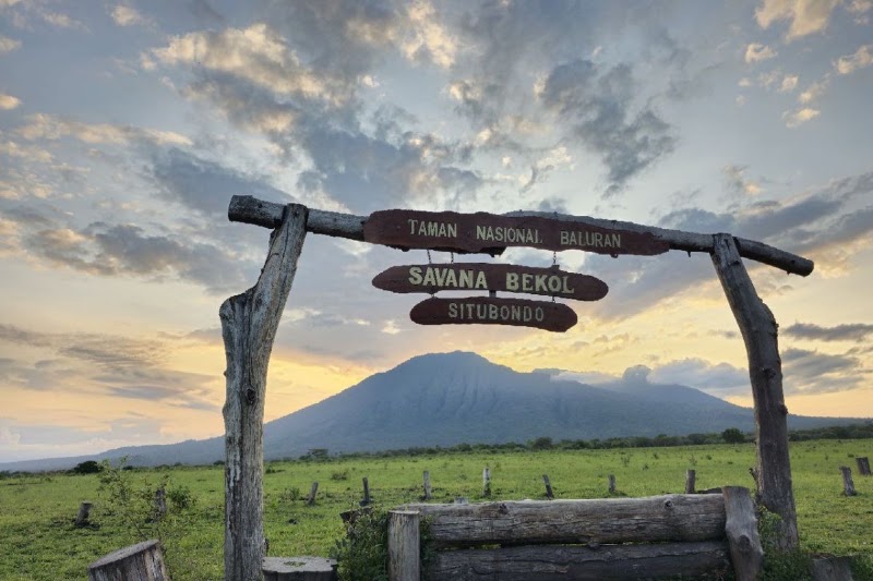 Photo 5 at Baluran National Park in Kecamatan Banyuputih