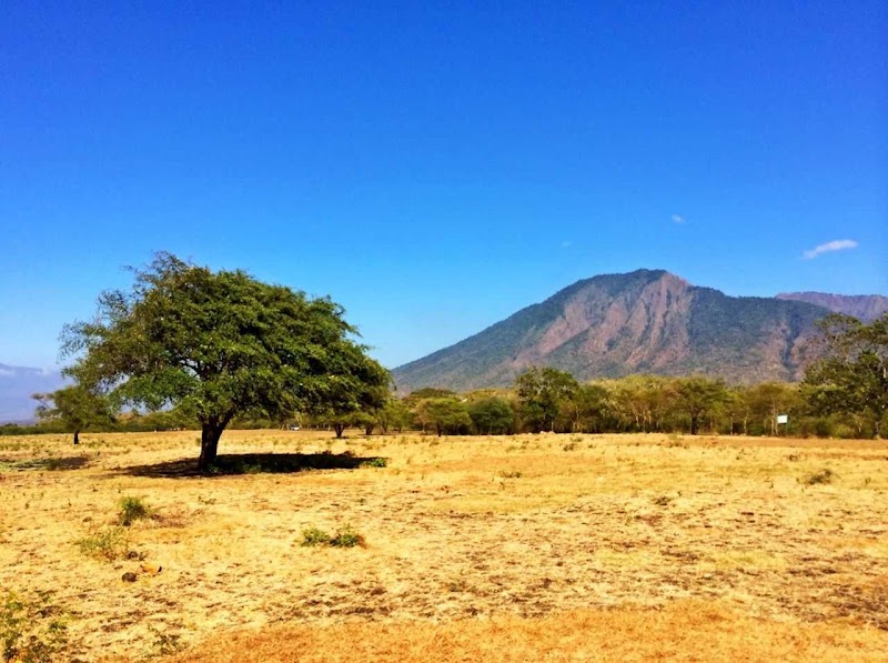 Photo 1 at Baluran National Park in Kecamatan Banyuputih