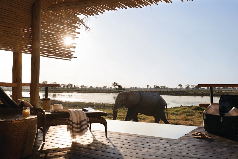 Photo 3 at Eagle Island Lodge, A Belmond Safari, Botswana in Okavango