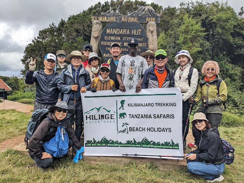 KILINGE ADVENTURES: Best Tanzania Tour Company Serengeti Safari Operator| Kilimanjaro climbing join Groups in Moshi & Arusha in Mkwawa