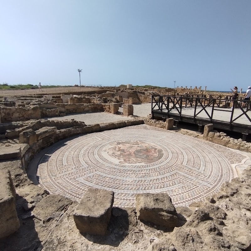 Photo 5 at Paphos Mosaics in Pafos