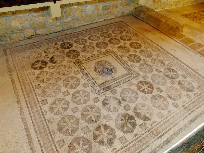 Photo 4 at Paphos Mosaics in Pafos