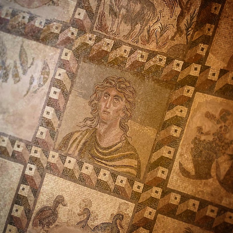 Photo 1 at Paphos Mosaics in Pafos