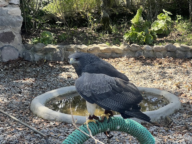 Photo 2 at Condor Park in Otavalo