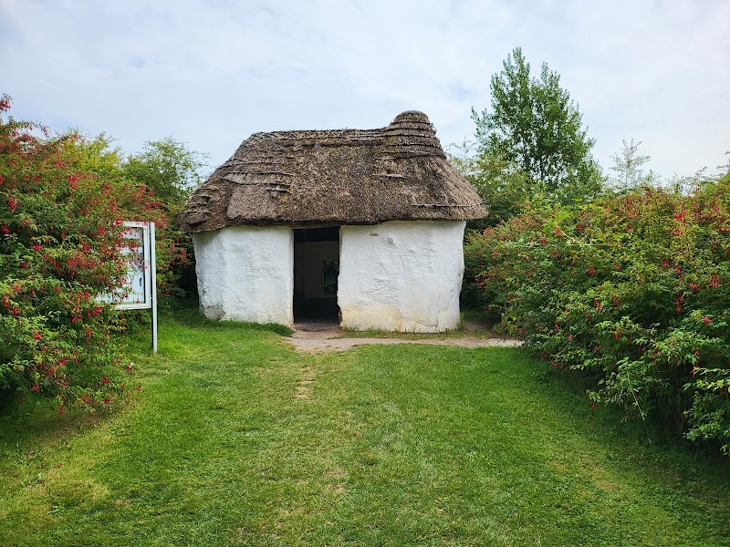 Photo 4 at National Museum of Ireland, Turlough Park in Castlebar