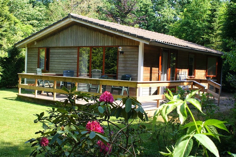 Photo 5 at De Roek Vakantiebungalows in Otterlo