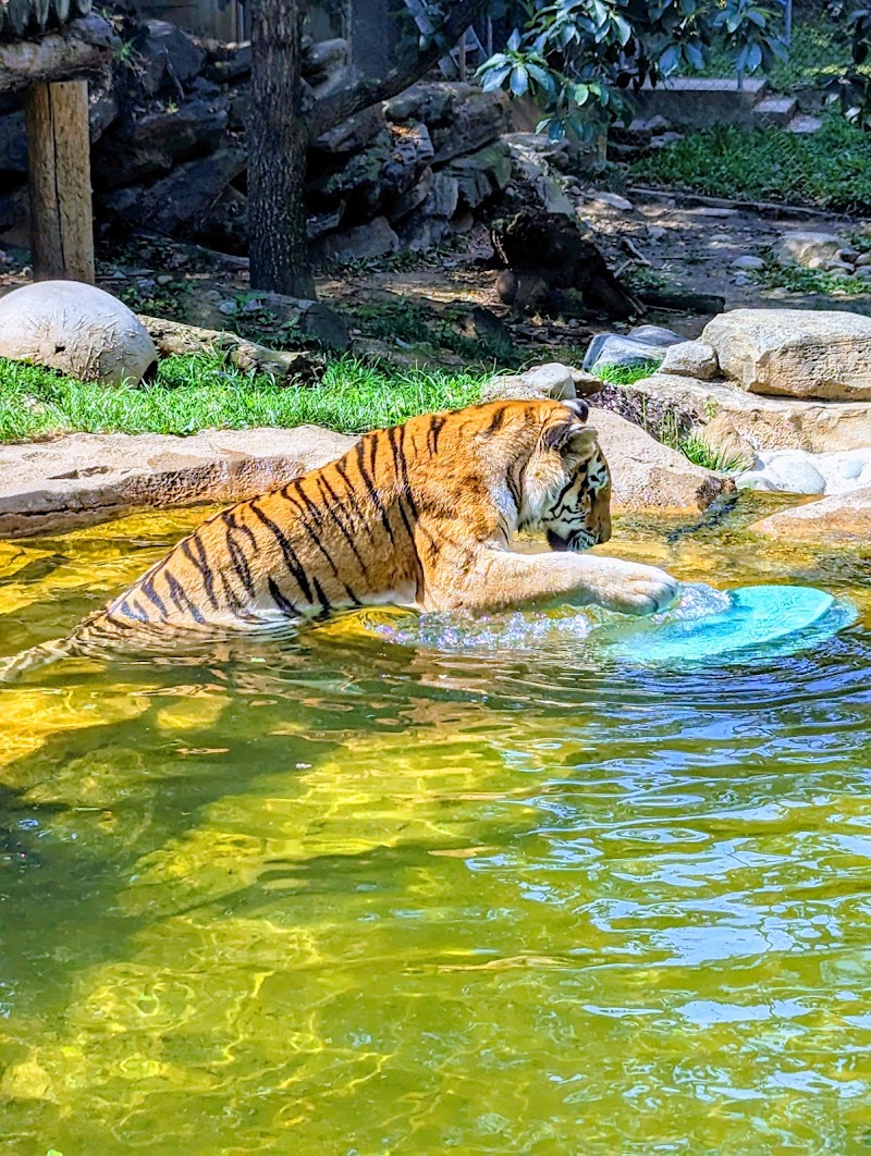 Photo 5 at Philadelphia Zoo in Philadelphia