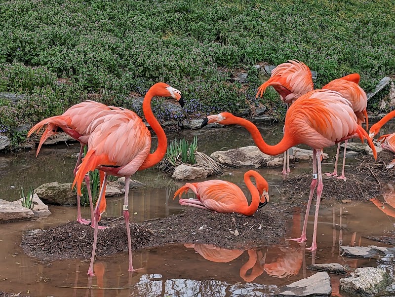Photo 2 at Philadelphia Zoo in Philadelphia