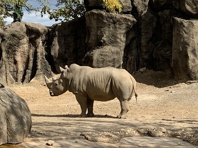Photo 3 at Philadelphia Zoo in Philadelphia