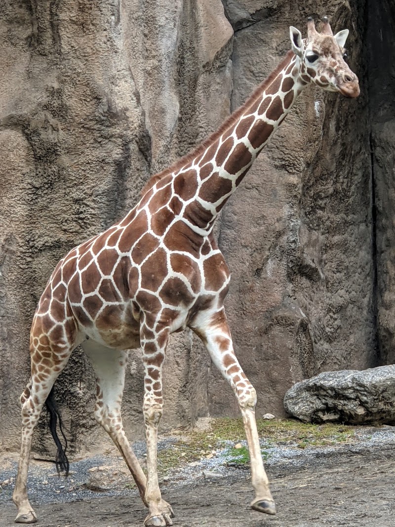 Photo 1 at Philadelphia Zoo in Philadelphia