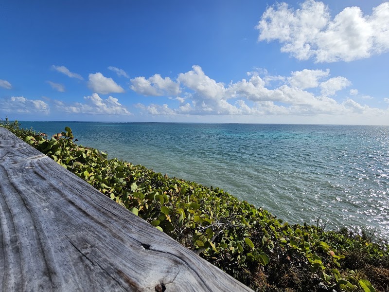 Photo 4 at Wreck of the Ten Sails in 
