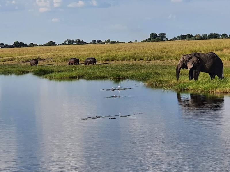 Photo 1 at Chobe National Park in 