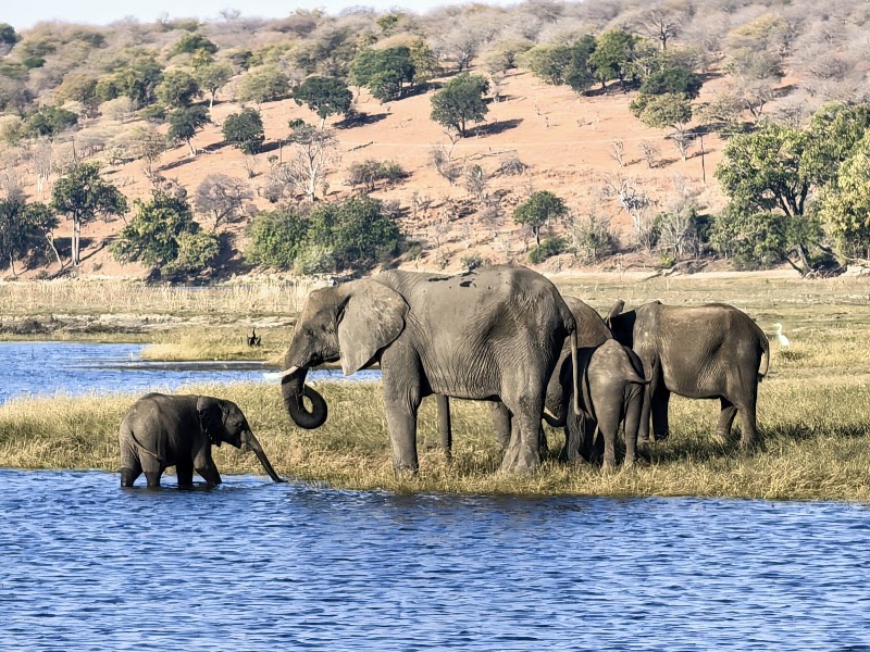 Chobe National Park in 