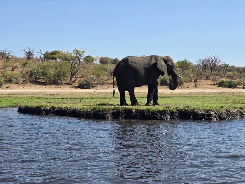 Photo 5 at Chobe National Park in 