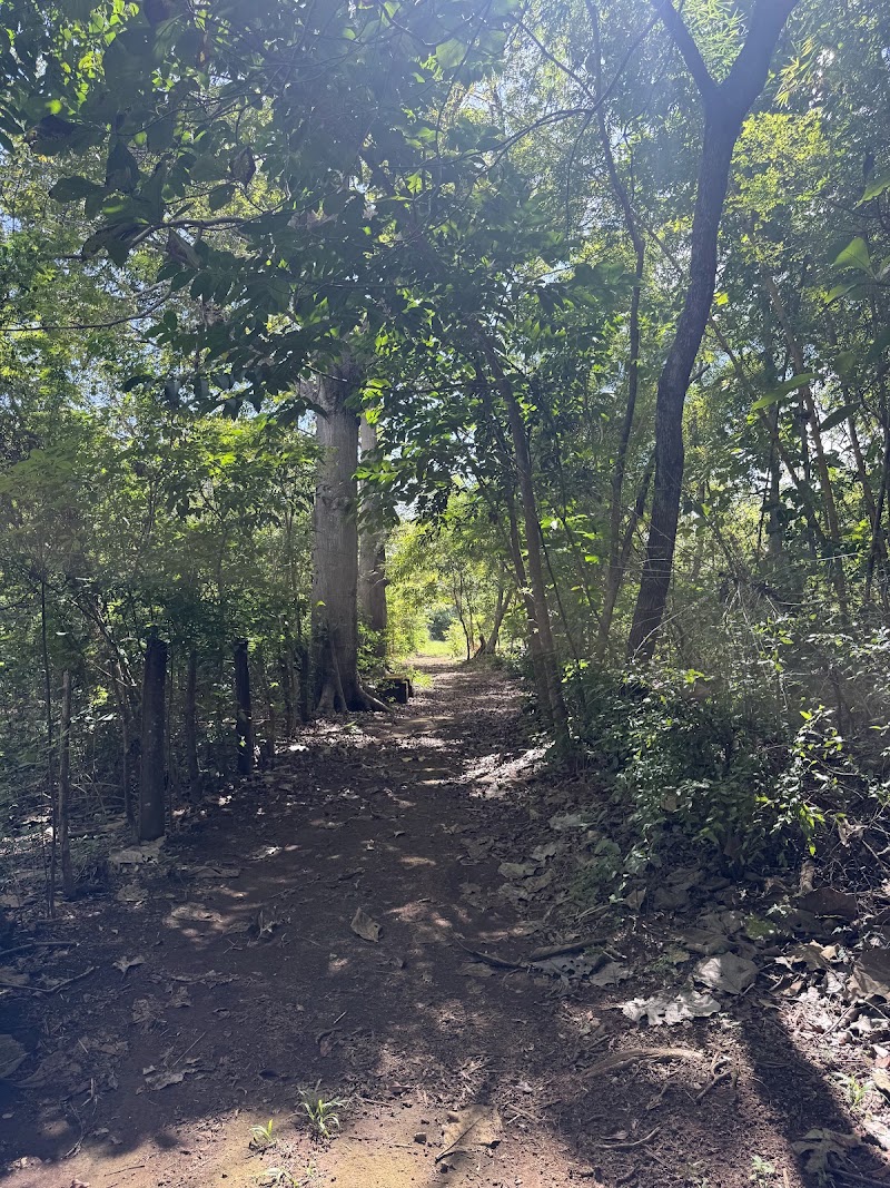 Nicaragua Butterfly Reserve in La Palmera